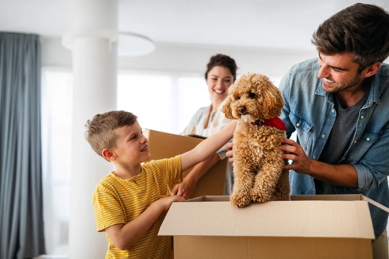 Pet Moving