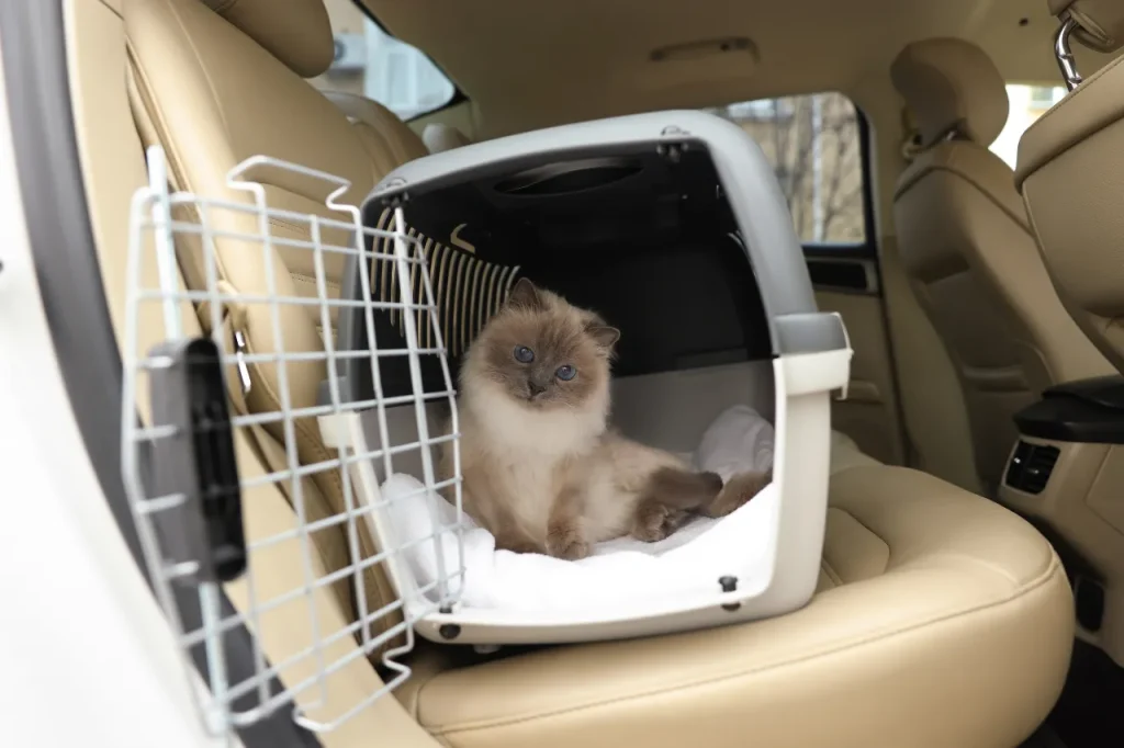 pet-relocation